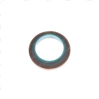 Picture of Seal - Dust