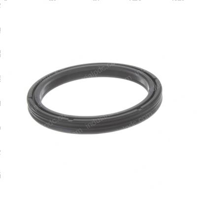 Picture of Seal - Ucup