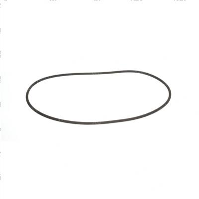 Picture of O-Ring