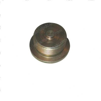Picture of Plug