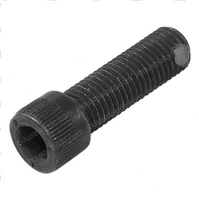 Picture of Bolt