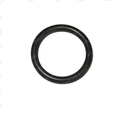 Picture of O-Ring