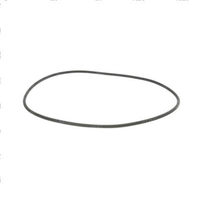 Picture of O-Ring