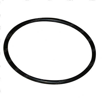 Picture of O-Ring