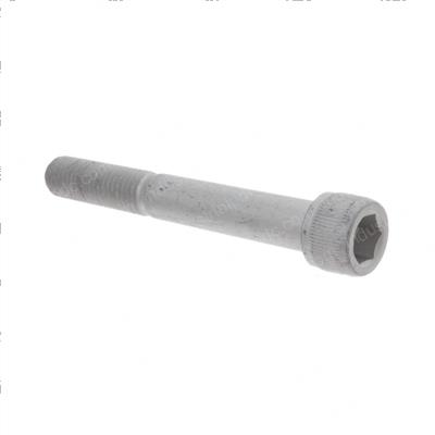 Picture of Bolt