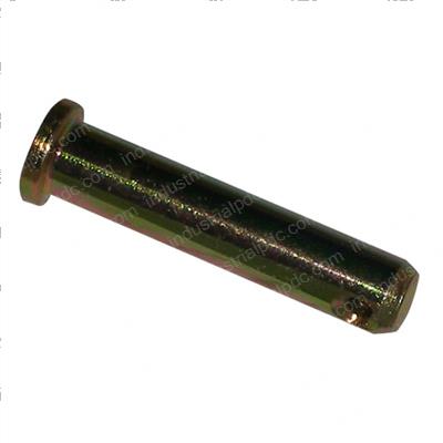 Picture of Pin