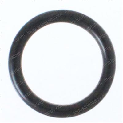 Picture of O-Ring
