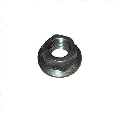 Picture of Nut Flange