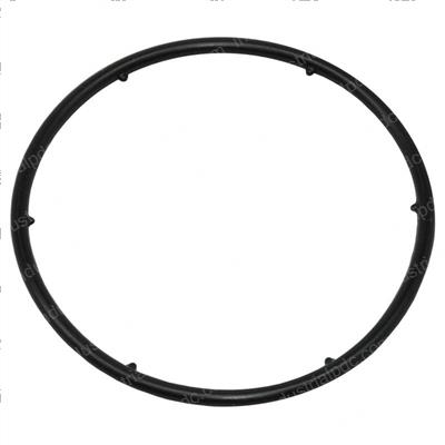 Picture of O-Ring