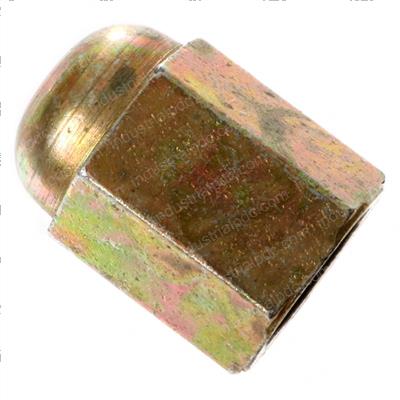 Picture of Nut-Acorn