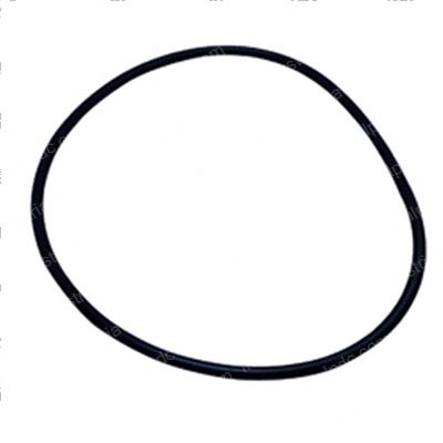 Picture of O-Ring