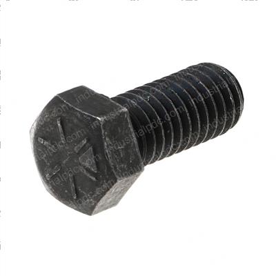 Picture of Bolt