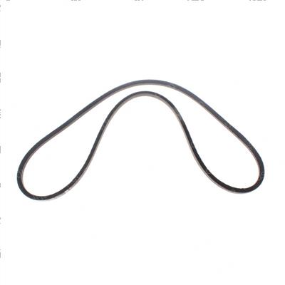 Picture of Belt V [3l] 43.0l