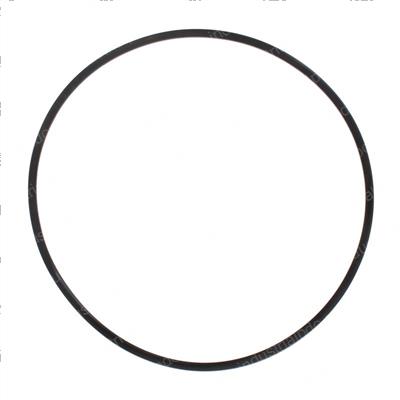 Picture of Back -Up Ring