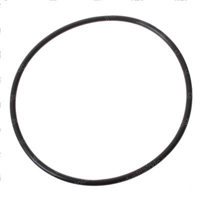 Picture of O-Ring