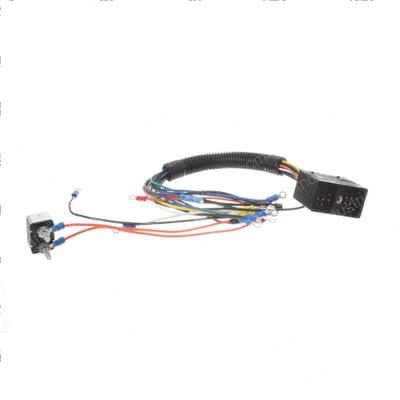 Picture of Harness