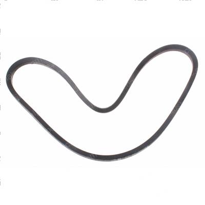 Picture of Belt V