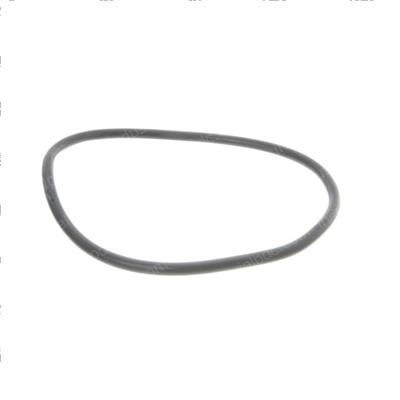 Picture of O-Ring