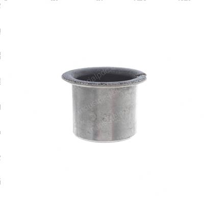 Picture of Bearing - Slide