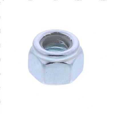 Picture of Nut
