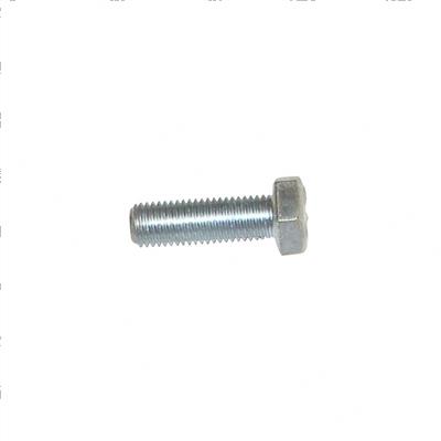Picture of Bolt