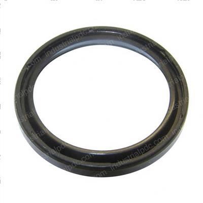 Picture of Seal Ring
