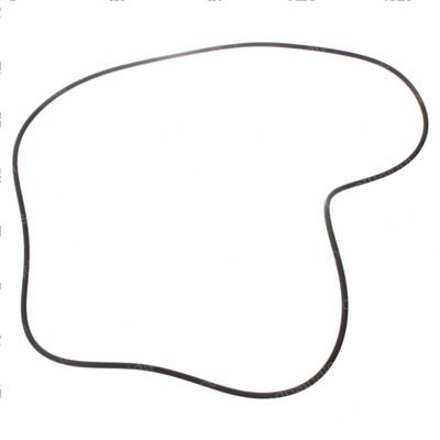 Picture of O Ring