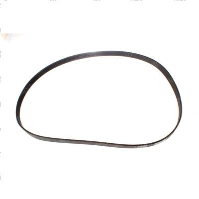 Picture of Belt - Ribbed