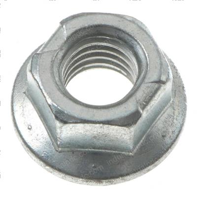 Picture of Nut