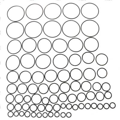 Picture of Refill O-Ring Kit