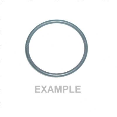 Picture of Clamp (oring)