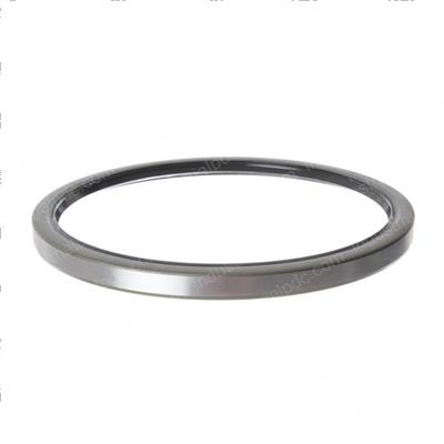 Picture of Seal - Oil