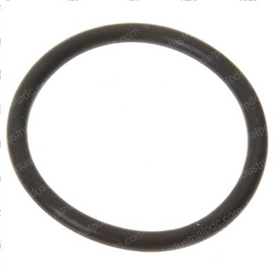 Picture of O-Ring