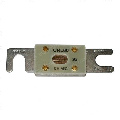 Picture of Fuse 80a