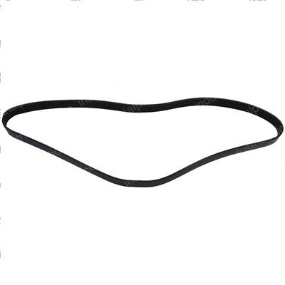 Picture of Belt