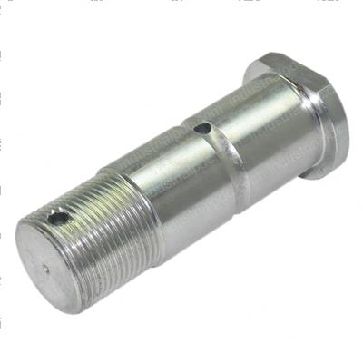 Picture of Pin