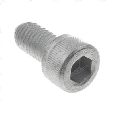 Picture of Screw