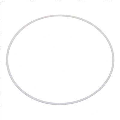 Picture of Back Up Ring