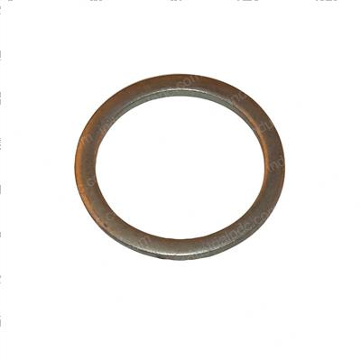 Picture of Protector - Dust