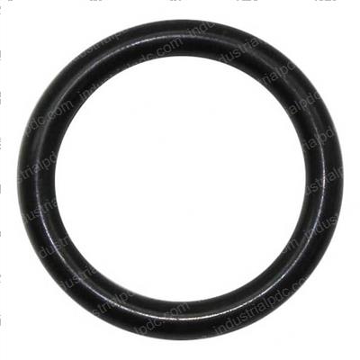 Picture of O-Ring
