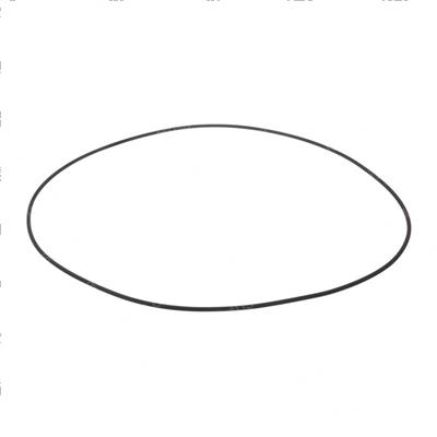 Picture of O-Ring