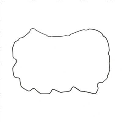 Picture of Gasket