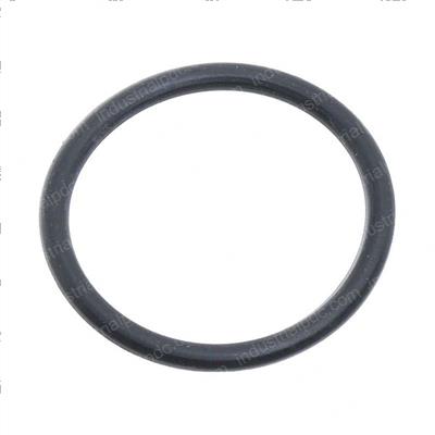 Picture of O-Ring