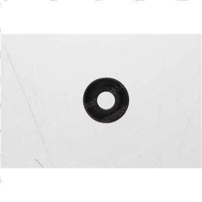 Picture of Seal Motor