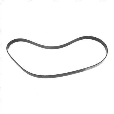 Picture of Belt  Ribbed  40.5l