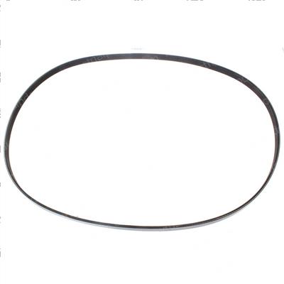 Picture of Belt - Serpentine