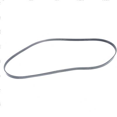 Picture of Belt - Serpentine