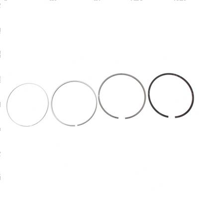 Picture of Assembly Piston Ring