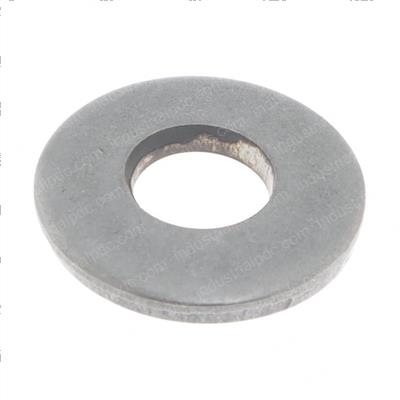 Picture of Washer, Belleville, .31 Ss