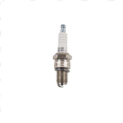 Picture of Plug - Spark